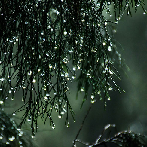 Quels problèmes rencontrons-nous pendant la saison des pluies ?